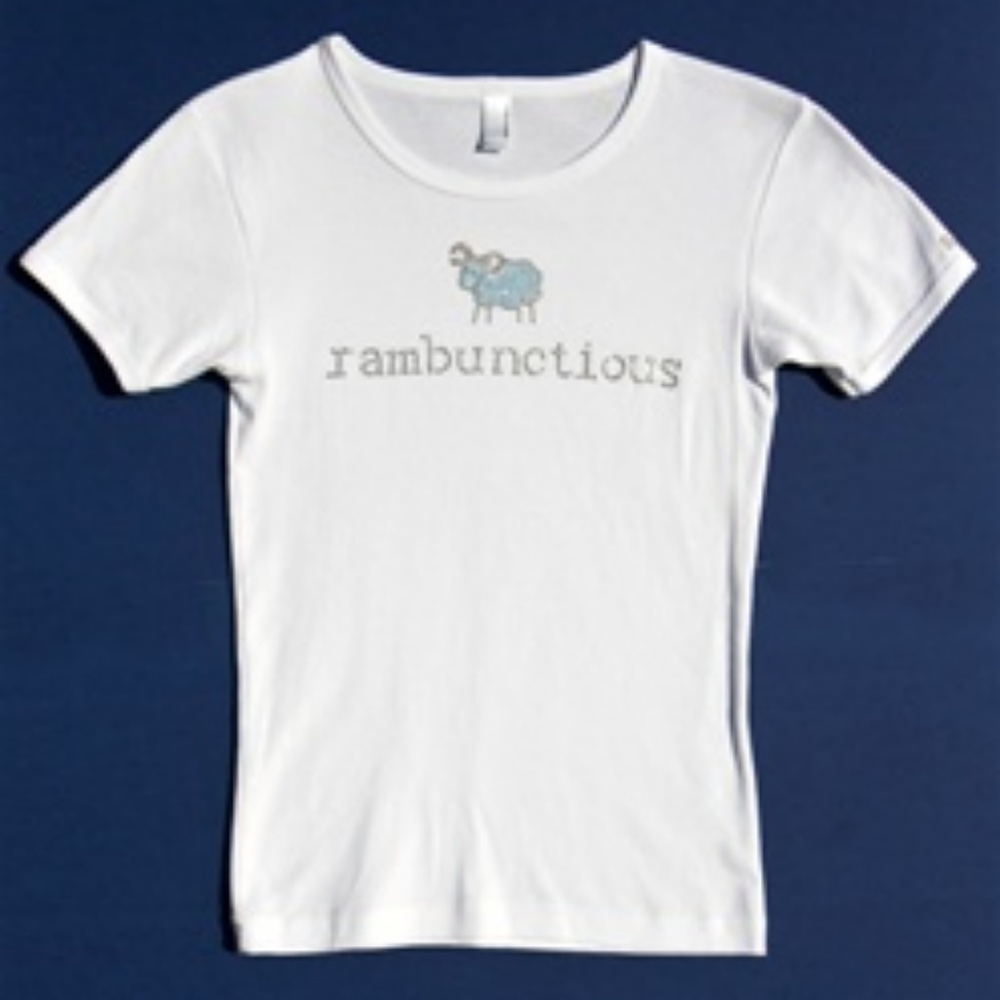 Zodiac, Aries "Rambunctious" t-shirt, NWT